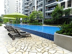 The Rainforest (D23), Condominium #188037352